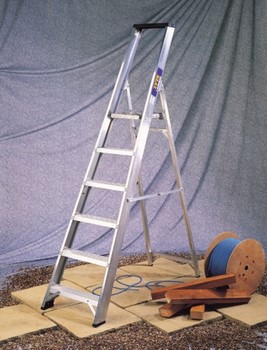 Platform Steps - Alloy - 2.52m 12 Tread