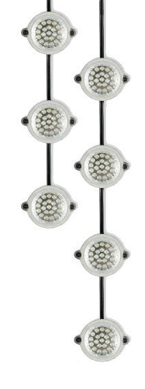 Defender LED Festoon Light
